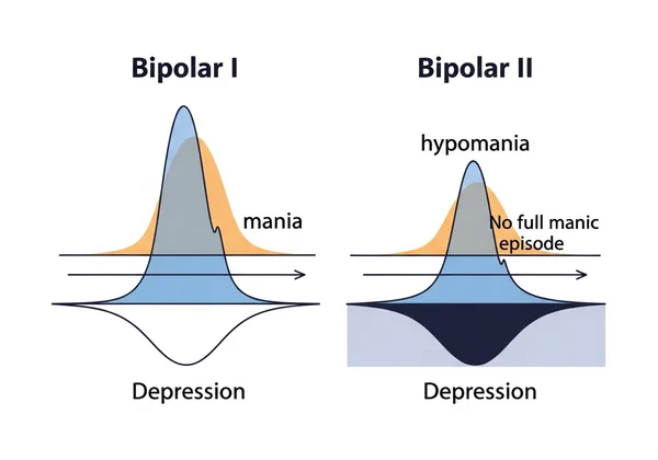 Visualizing Bipolar 1 vs Bipolar 2 differences